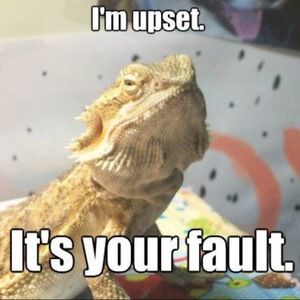 Meet your Posher, Sassy